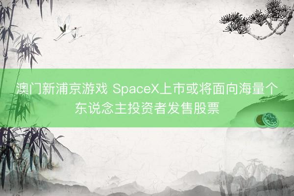 澳門新浦京游戲 SpaceX上市或將面向海量個東說念主投資者發(fā)售股票