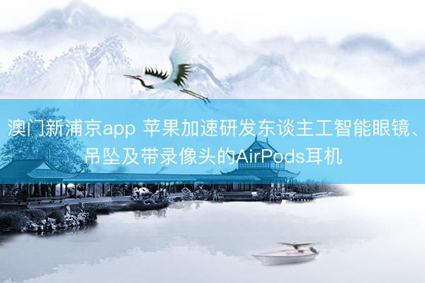 澳門新浦京app 蘋果加速研發東談主工智能眼鏡、吊墜及帶錄像頭的AirPods耳機
