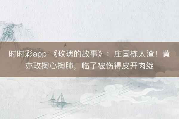 時時彩app 《玫瑰的故事》：莊國棟太渣！黃亦玫掏心掏肺，臨了被傷得皮開肉綻